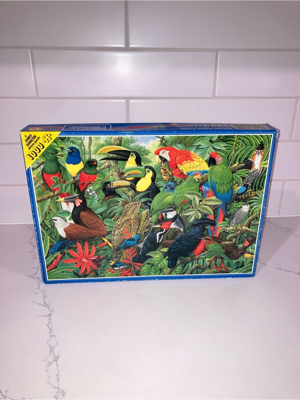 Vintage 1000 Piece Bird of Costa Rica Jigsaw Puzzle - DeLuxe by James Hamilton